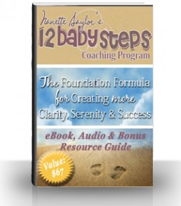 12 Baby Steps eBook Audio & Bonus Resource Guide